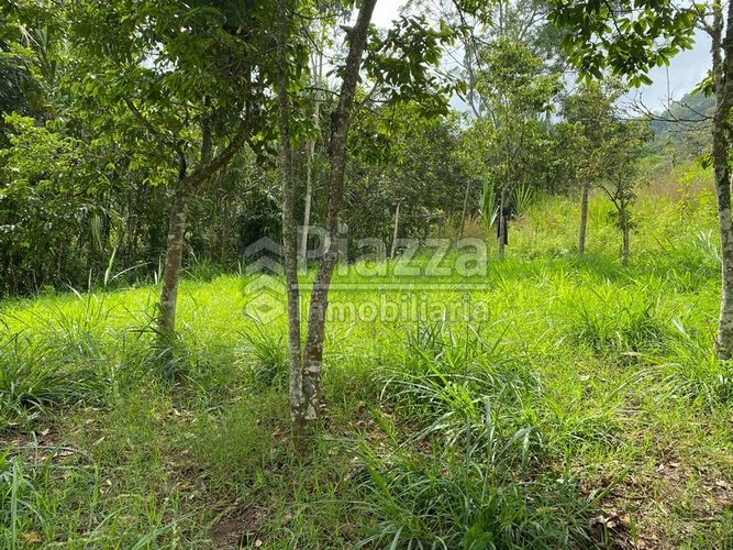 Lote en venta en Santa Teresa, Ibagué · foto 17 de 24