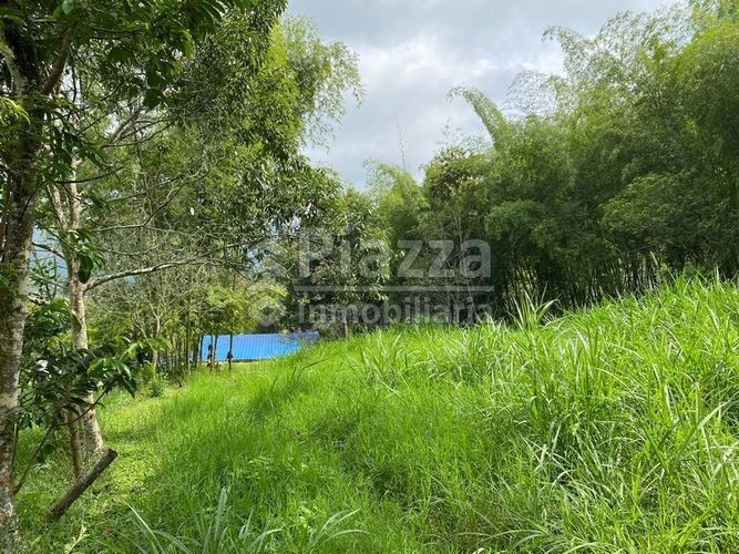 Finca en venta en Santa Teresa, Ibagué · foto 17 de 24