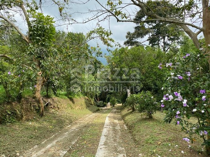 Finca en venta en Santa Teresa, Ibagué · foto 22 de 24
