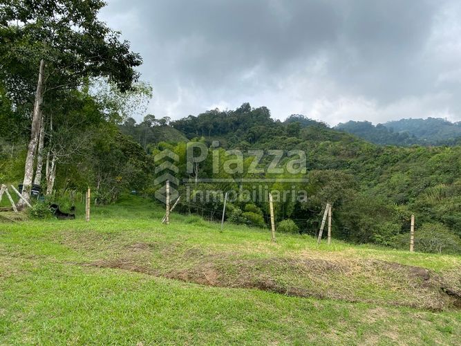 Finca en venta en Santa Teresa, Ibagué · foto 6 de 24