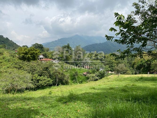 Finca en venta en Santa Teresa, Ibagué · foto 11 de 24