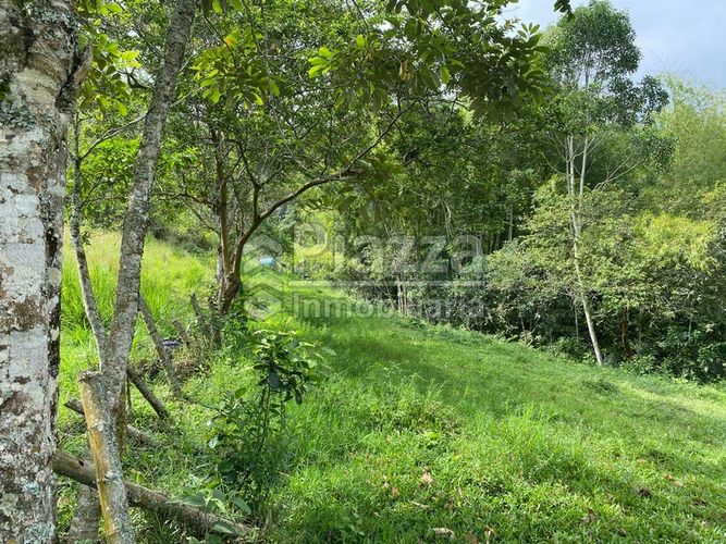 Finca en venta en Santa Teresa, Ibagué · foto 15 de 24