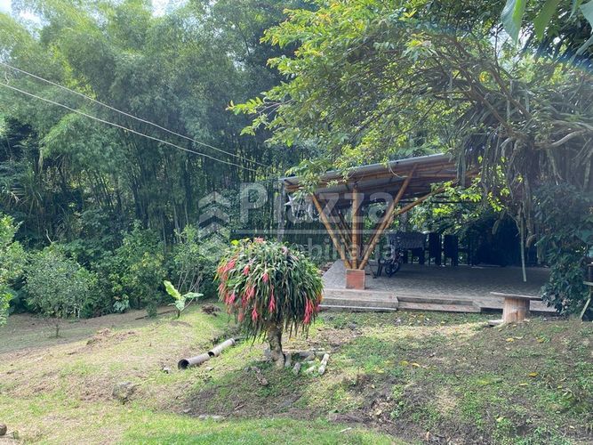 Finca en venta en Santa Teresa, Ibagué · foto 19 de 24