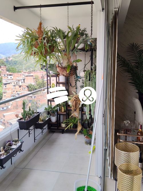 Apartamento de 3 alcobas en venta en Calasanz Parte Alta, Medellín, 93 m² · foto 16 de 18