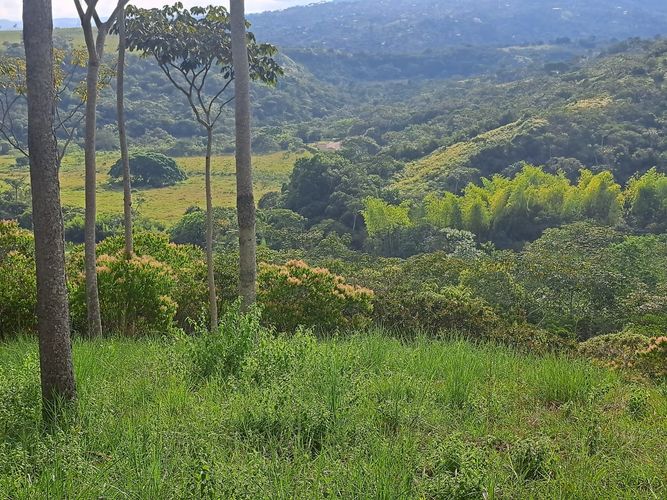 Lote en venta en Pance, Cali, 6 m² · foto 15 de 24