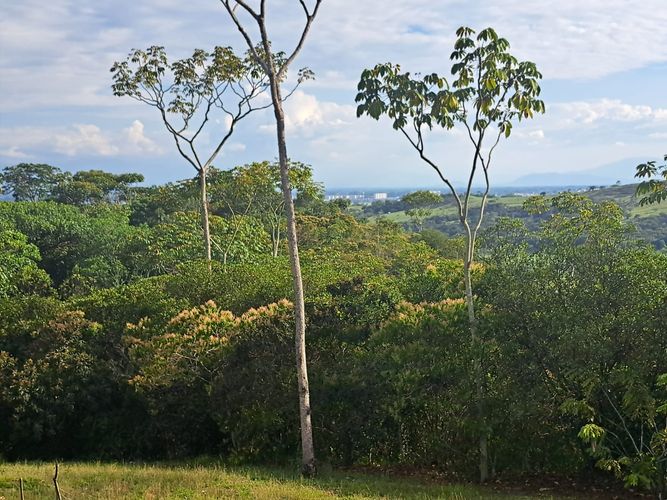 Lote en venta en Pance, Cali, 6 m² · foto 16 de 24
