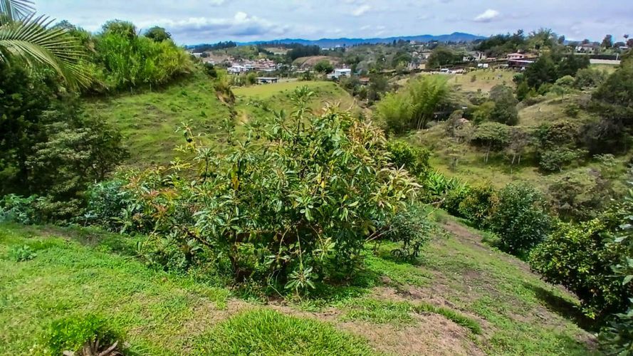 Finca en venta en Llano Grande, Rionegro, 178 m² · foto 9 de 24