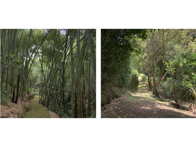 Lote en venta en Pueblito Cafetero, Pereira, 1778 m² · foto 8 de 24
