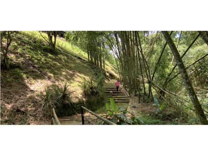 Lote en venta en Pueblito Cafetero, Pereira, 1778 m² · foto 10 de 24