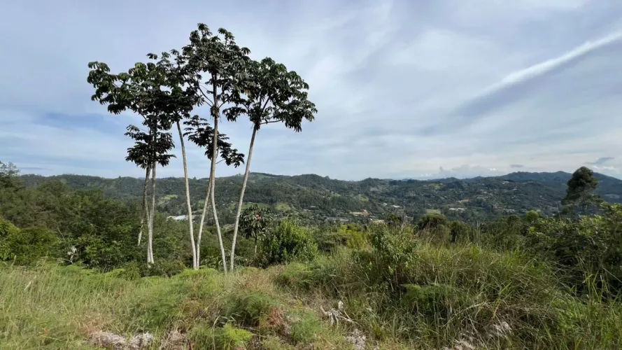 Lote en venta en Tablacito, Rionegro, 6400 m² · foto 4 de 15