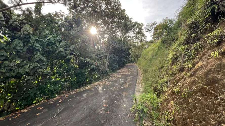 Lote en venta en Tablacito, Rionegro, 6400 m² · foto 14 de 15