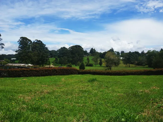 Lote en venta en Las Garzonas, El Carmen de Viboral, 2600 m² · foto 2 de 16