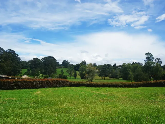 Lote en venta en Las Garzonas, El Carmen de Viboral, 2600 m² · foto 4 de 16