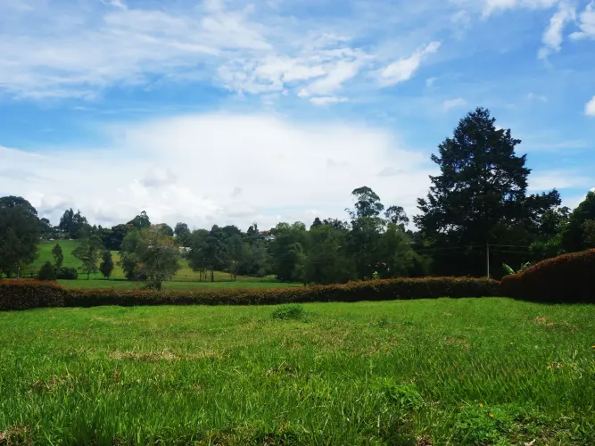 Lote en venta en Las Garzonas, El Carmen de Viboral, 2600 m² · foto 8 de 16