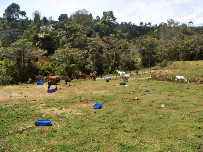 Lote en venta en Guarne, 19575 m² · foto 2 de 9