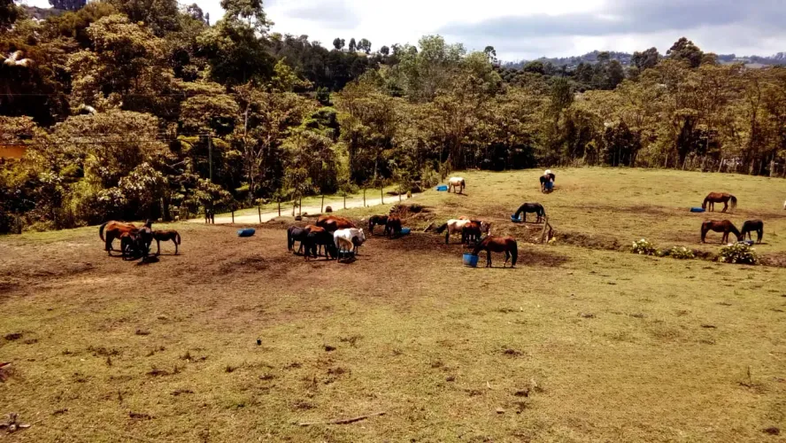 Lote en venta en Guarne, 19575 m² · foto 8 de 9