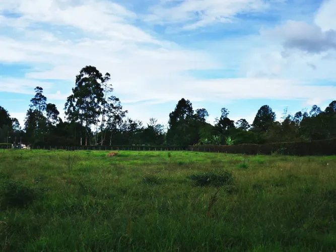 Lote en venta en Llano Grande, Rionegro, 11000 m² · foto 6 de 10