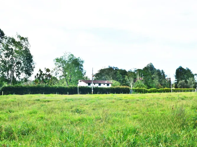 Lote en venta en Llano Grande, Rionegro, 11000 m² · foto 7 de 10