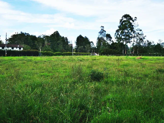 Lote en venta en Llano Grande, Rionegro, 11000 m² · foto 9 de 10
