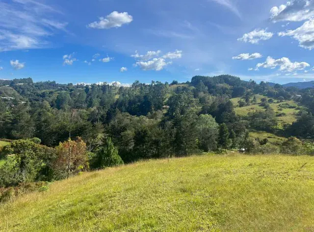 Lote en venta en Pantanillo, El Retiro, 8229 m² · foto 6 de 13