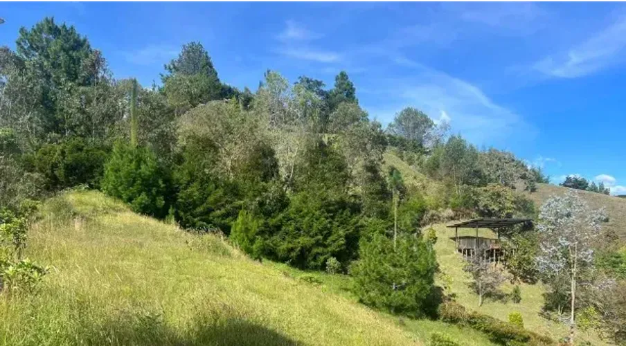 Lote en venta en Pantanillo, El Retiro, 8229 m² · foto 7 de 13