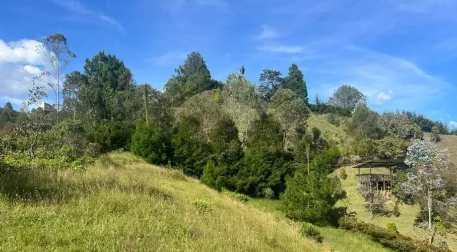 Lote en venta en Pantanillo, El Retiro, 8229 m² · foto 11 de 13