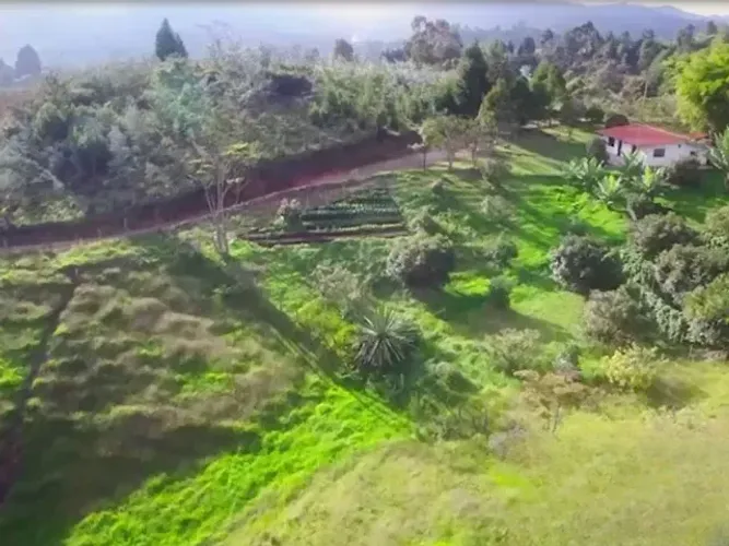 Lote en venta en La Clara, Guarne, 3000 m² · foto 6 de 12