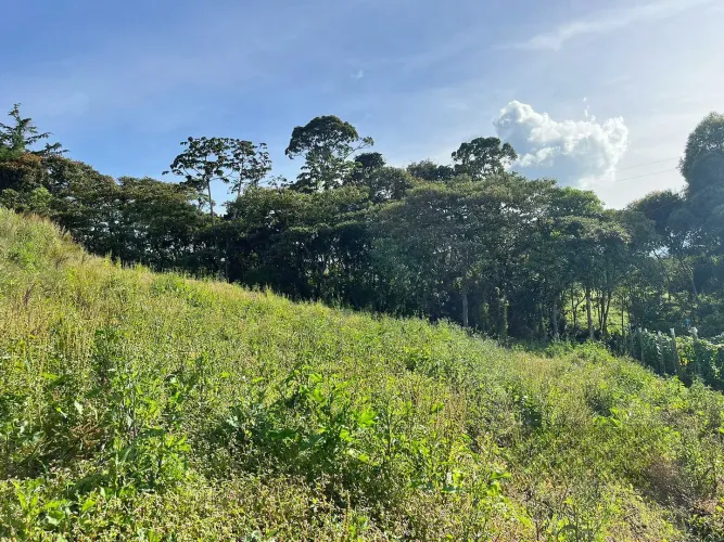 Lote en venta en El Carmen De Viboral, El Carmen de Viboral, 4133 m² · foto 6 de 10