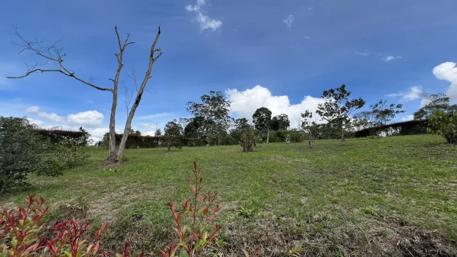 Lote en venta en El Salado, El Carmen de Viboral, 2100 m² · foto 4 de 24