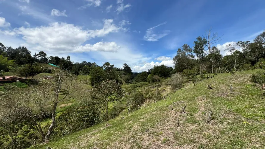 Lote en venta en El Salado, El Carmen de Viboral, 2100 m² · foto 9 de 24