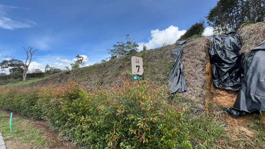 Lote en venta en El Salado, El Carmen de Viboral, 2100 m² · foto 10 de 24