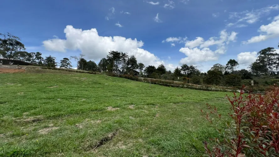 Lote en venta en El Salado, El Carmen de Viboral, 2100 m² · foto 15 de 24