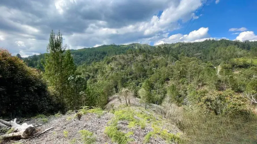 Lote en venta en El Porvenir, Rionegro, 14468 m² · foto 4 de 8