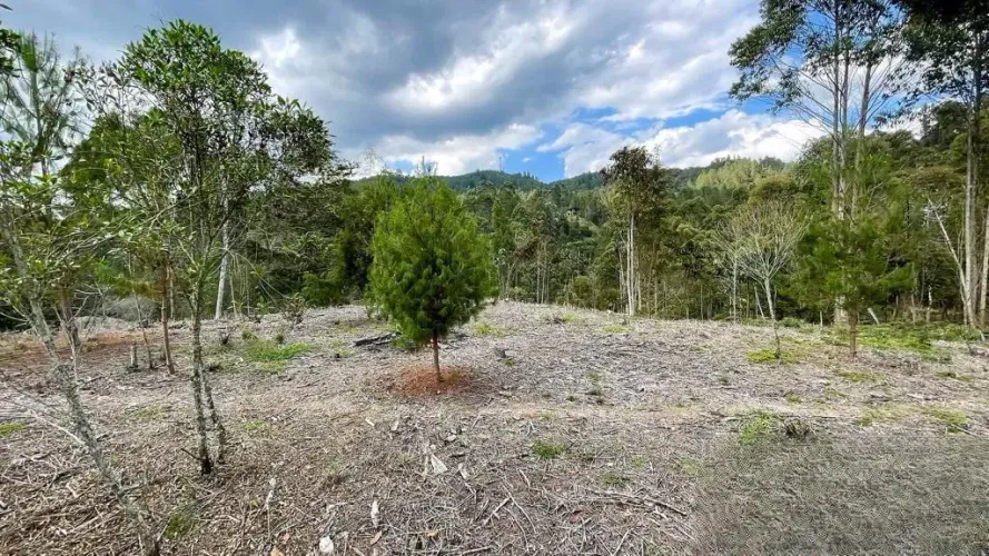 Lote en venta en El Porvenir, Rionegro, 14468 m² · foto 6 de 8