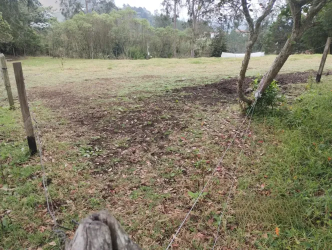 Lote en venta en Cabeceras De Llanogrande, Rionegro, 46377 m² · foto 15 de 24