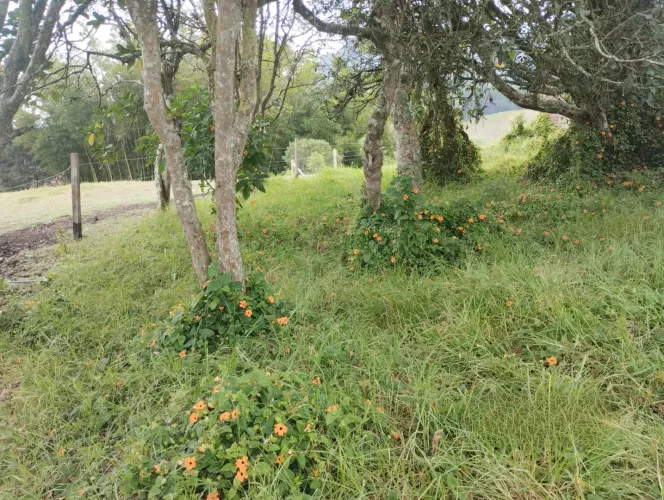 Lote en venta en Cabeceras De Llanogrande, Rionegro, 46377 m² · foto 18 de 24