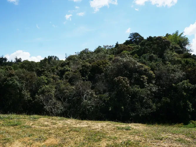 Lote en venta en Quirama, El Carmen de Viboral, 5200 m² · foto 5 de 9