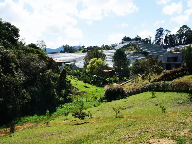 Lote en venta en Quirama, El Carmen de Viboral, 5200 m² · foto 8 de 9