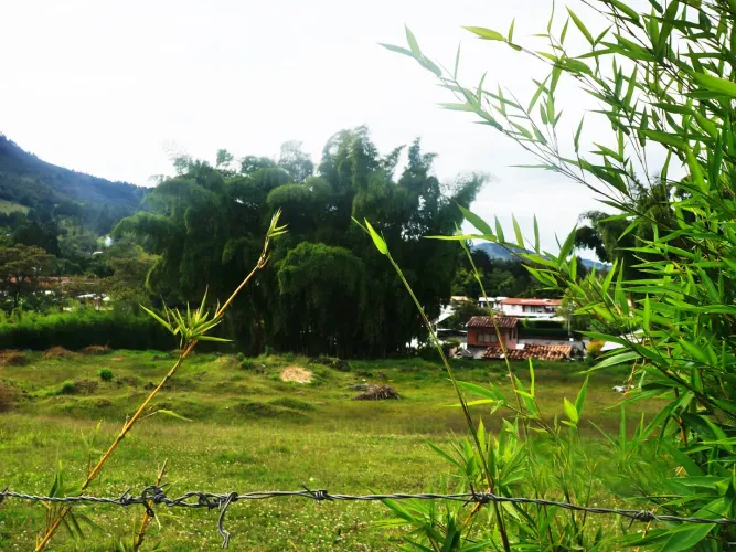 Lote en venta en La Ceja, 3800 m² · foto 2 de 11