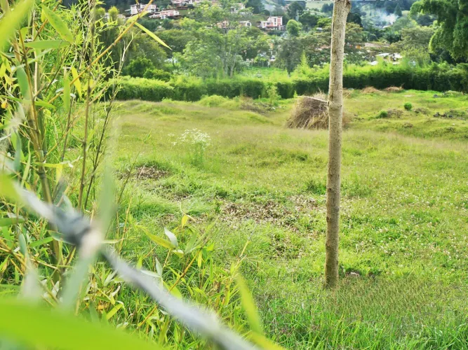 Lote en venta en La Ceja, 3800 m² · foto 3 de 11