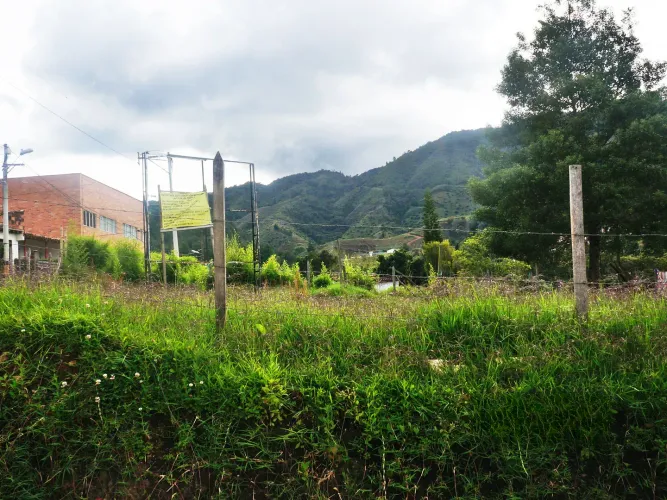 Lote en venta en La Ceja, 3800 m² · foto 5 de 11