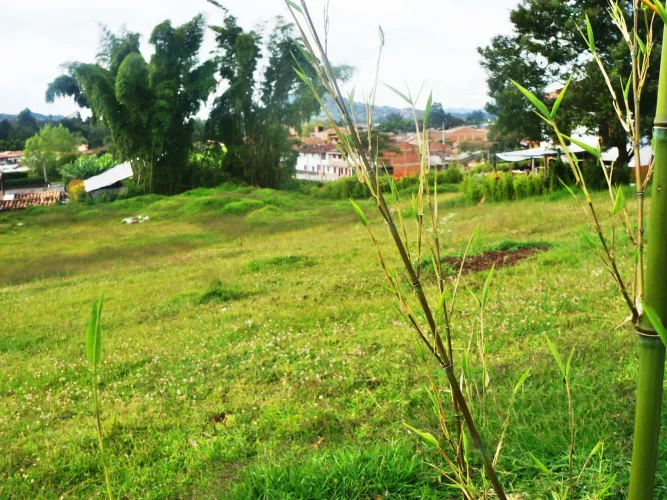Lote en venta en La Ceja, 3800 m² · foto 6 de 11