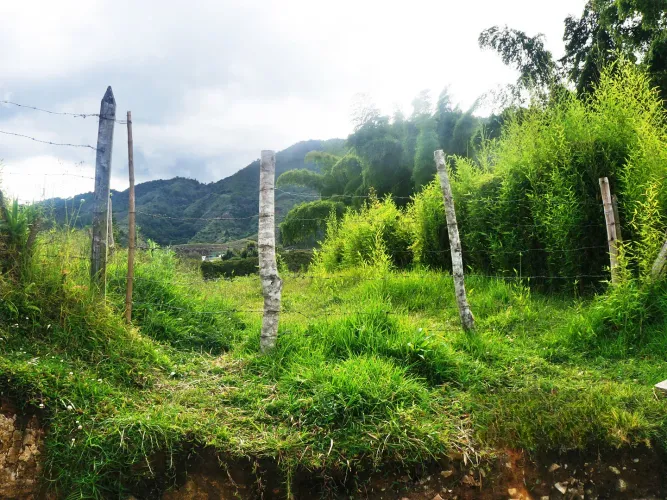 Lote en venta en La Ceja, 3800 m² · foto 8 de 11