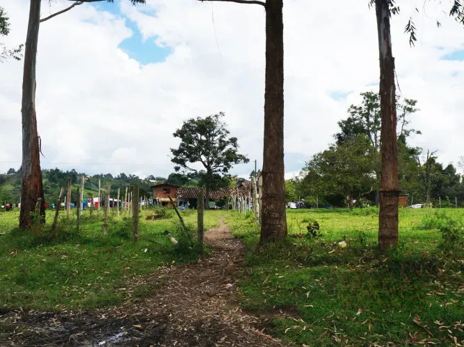 Lote en venta en La Macarena, Rionegro, 13844 m² · foto 7 de 9