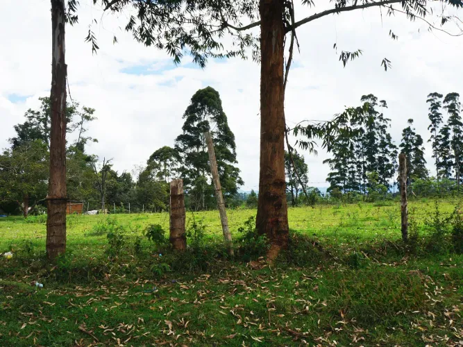 Lote en venta en La Macarena, Rionegro, 13844 m² · foto 9 de 9