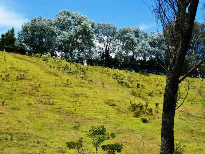 Lote en venta en Playa Rica-Rancheria, Rionegro, 10800 m² · foto 2 de 6