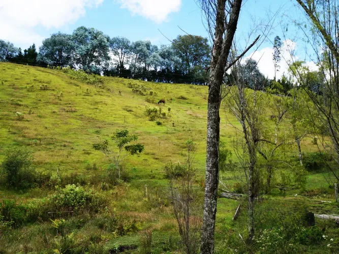 Lote en venta en Playa Rica-Rancheria, Rionegro, 10800 m² · foto 3 de 6