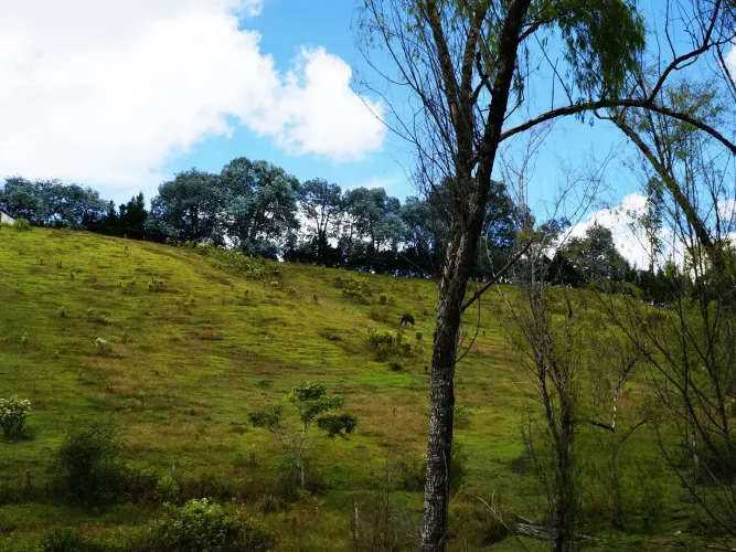 Lote en venta en Playa Rica-Rancheria, Rionegro, 10800 m² · foto 4 de 6