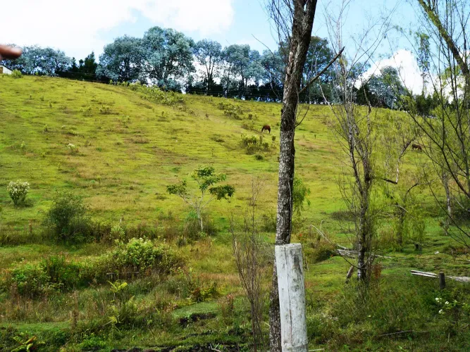 Lote en venta en Playa Rica-Rancheria, Rionegro, 10800 m² · foto 5 de 6