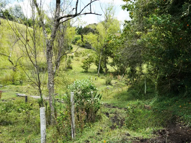 Lote en venta en Playa Rica-Rancheria, Rionegro, 10800 m² · foto 6 de 6